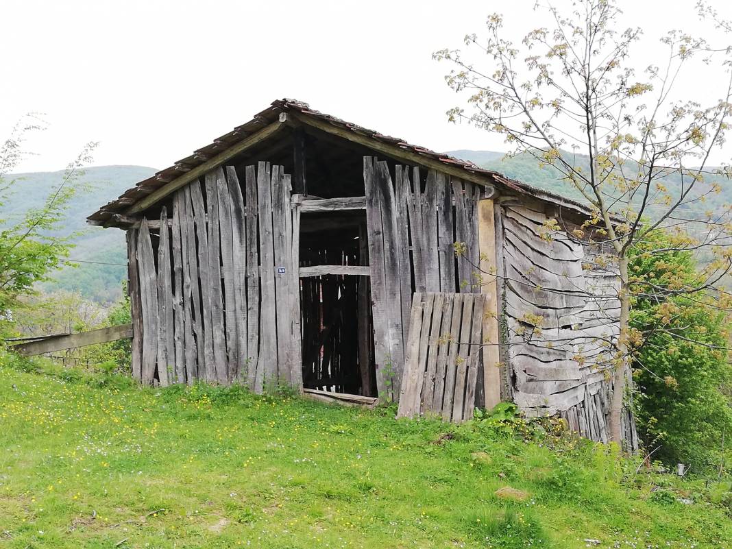 Erfelek Horzum Köyü Resimleri 8