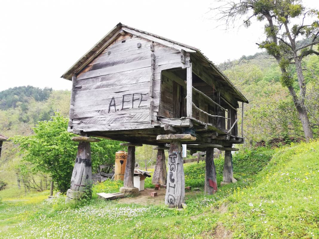 Erfelek Horzum Köyü Resimleri 9