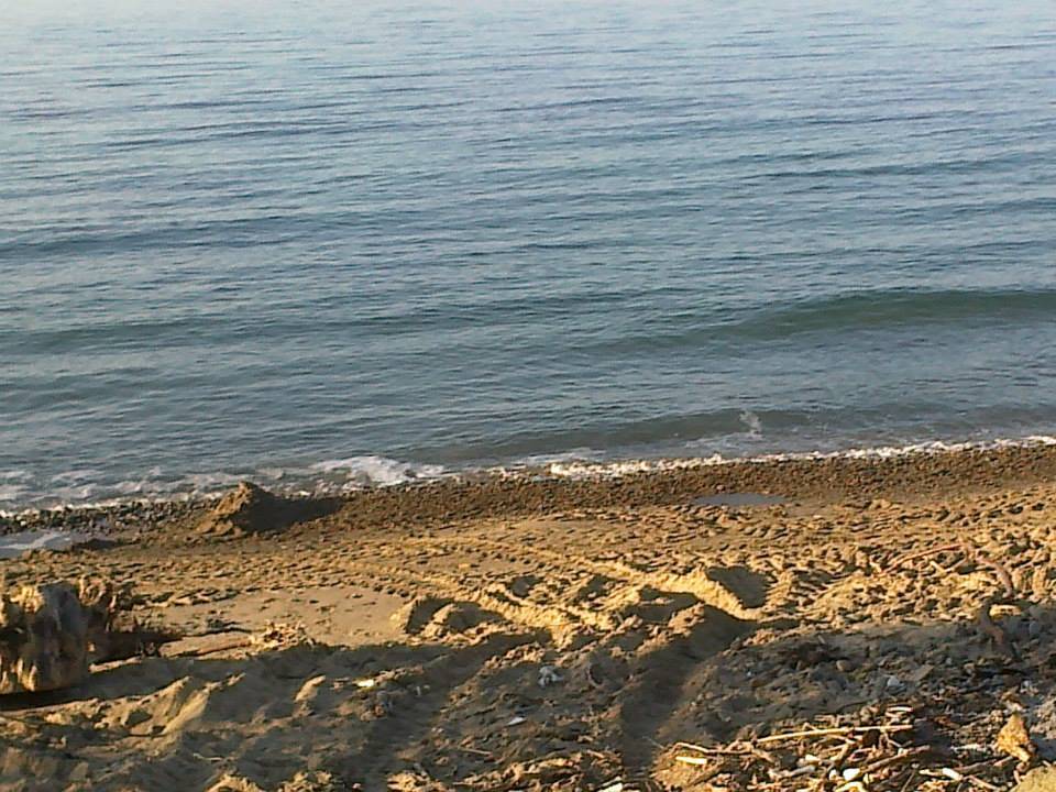 Erfelek İncirpınar Köyü Resimleri 6