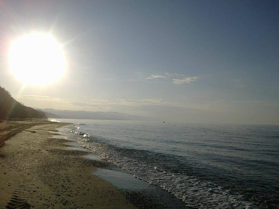 Erfelek İncirpınar Köyü Resimleri 7