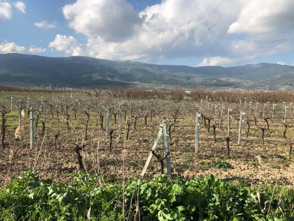 Pamukova Bacıköy Köyü Resimleri 4