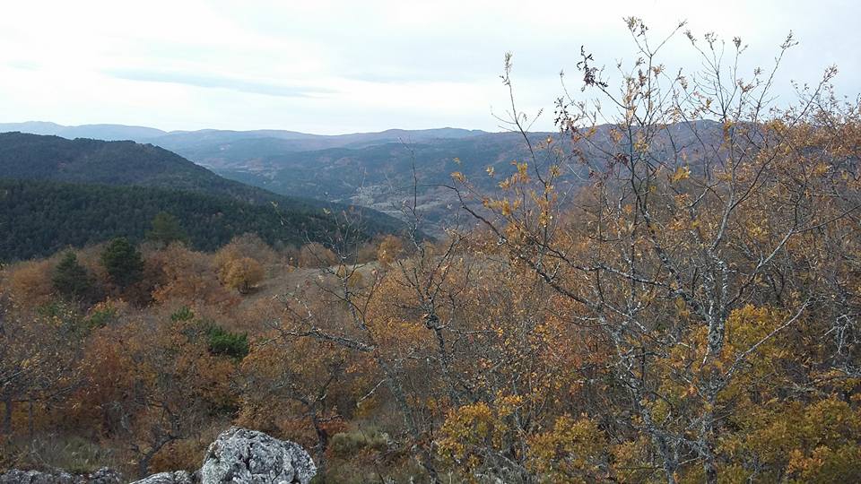 Pamukova Bacıköy Köyü Resimleri 6
