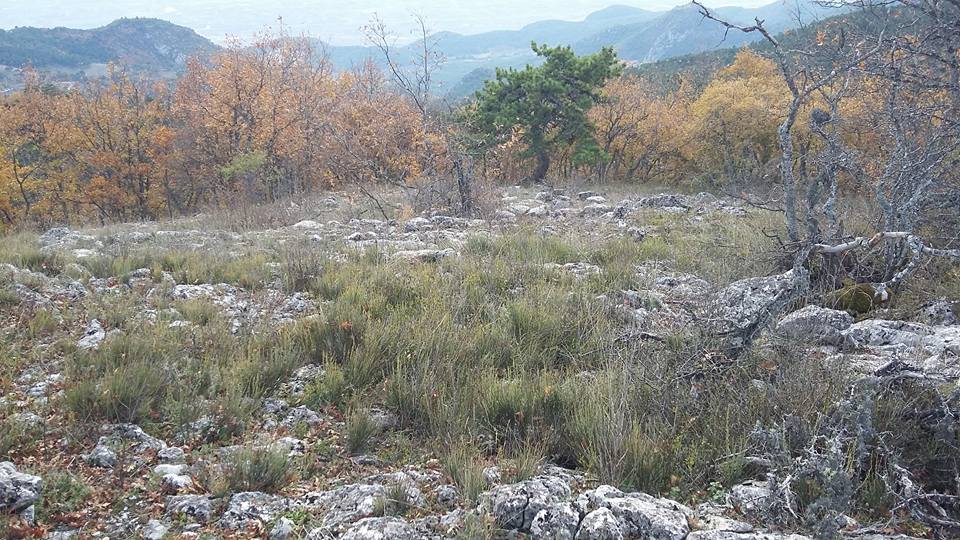 Pamukova Bacıköy Köyü Resimleri 9