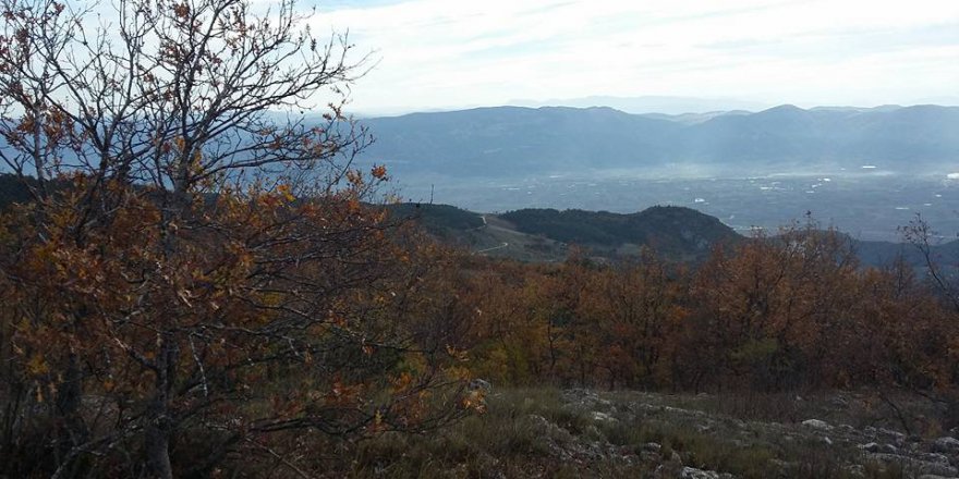 Pamukova Bacıköy Köyü Resimleri