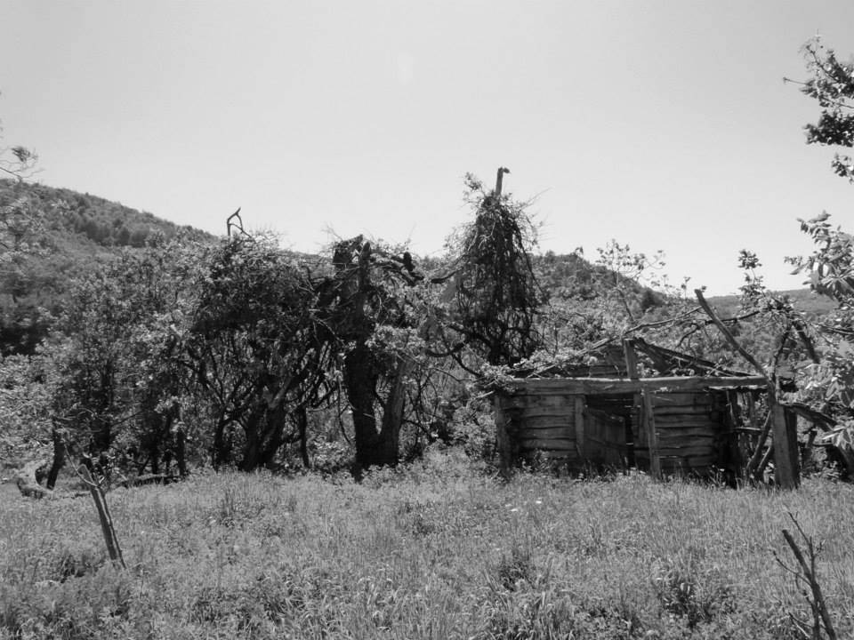 Erfelek Kurcalı Köyü Resimleri 5
