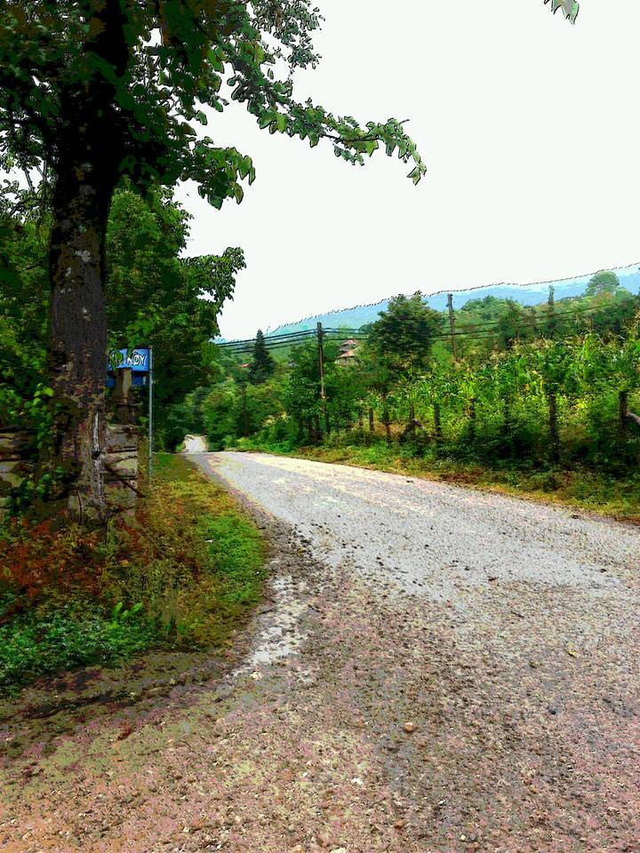 Erfelek Meydan Köyü Resimleri 4