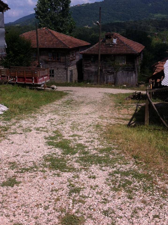 Erfelek Meydan Köyü Resimleri 7