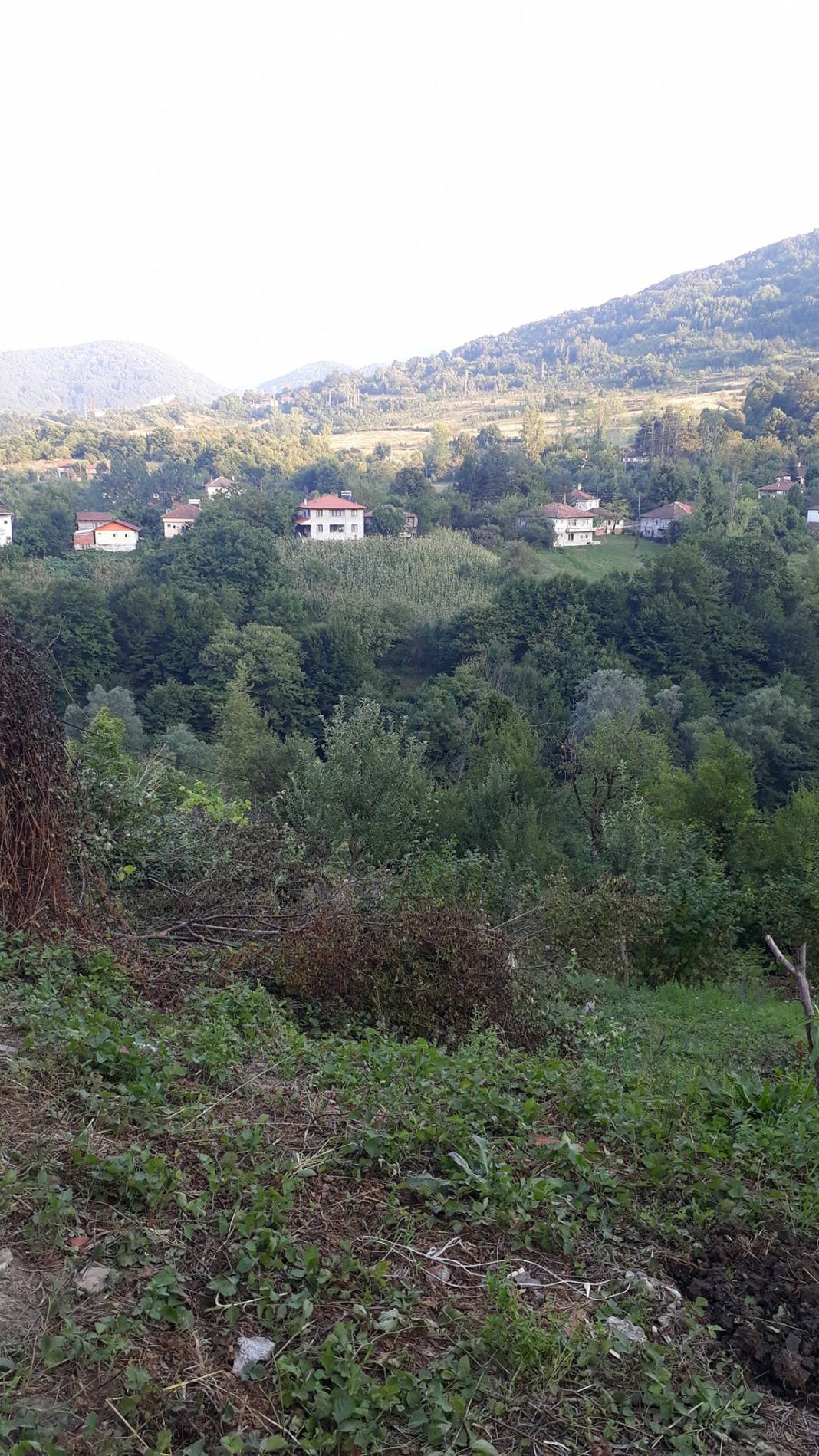 Erfelek Meydan Köyü Resimleri 9