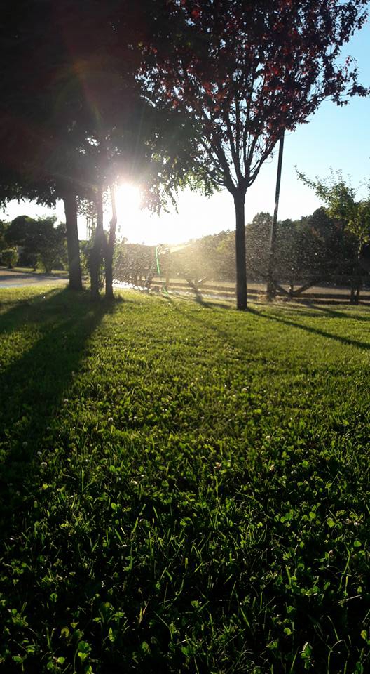 Pamukova Bakacak Köyü Resimleri 11