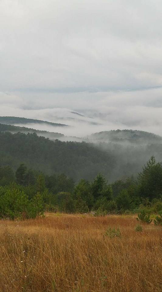 Pamukova Bakacak Köyü Resimleri 7