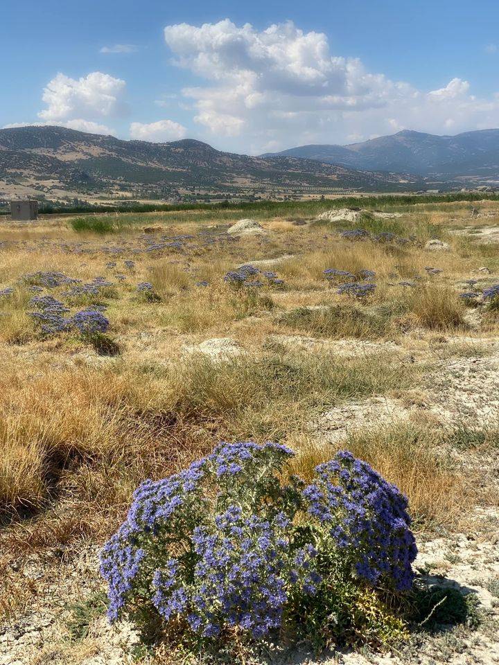 Burdur Yarıköy Resimleri 5