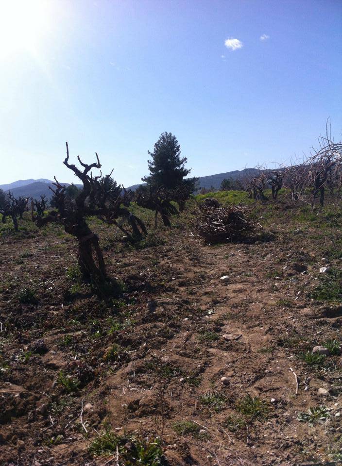 Burdur Yassıgüme Köyü Resimleri 4