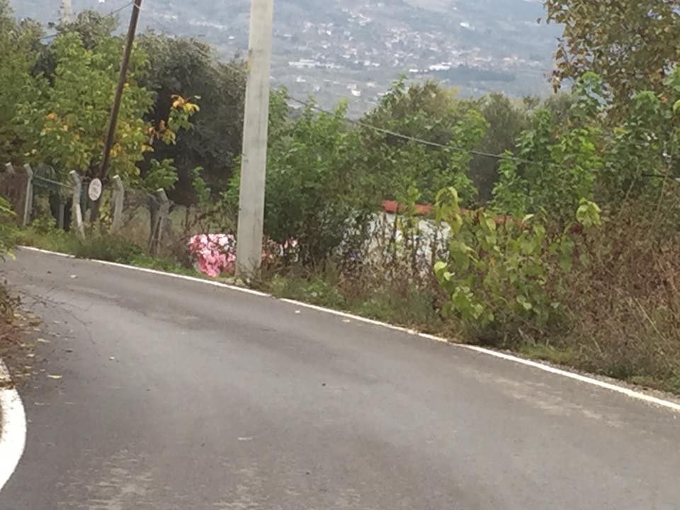 Pamukova Bayırakçaşehir Köyü Resimleri 1