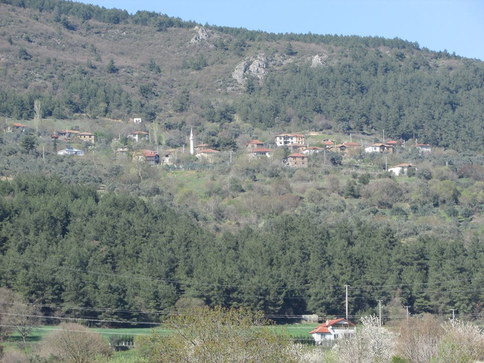 Pamukova Bayırakçaşehir Köyü Resimleri 2