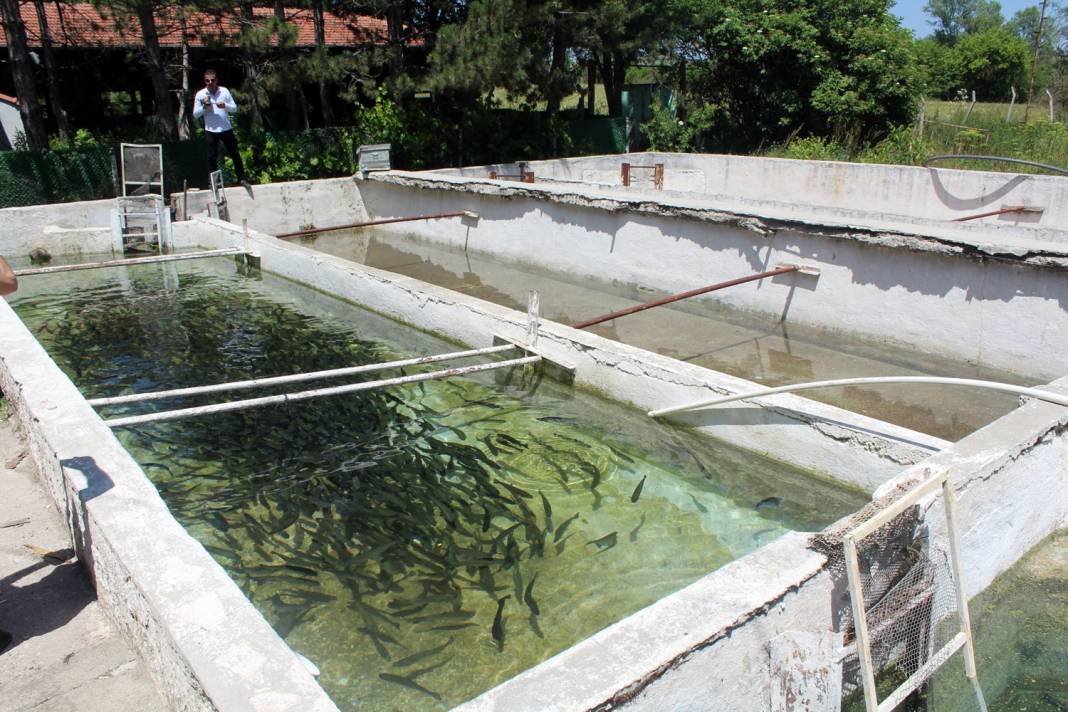 Çorum Kuşsarayı Köyü Resimleri 4