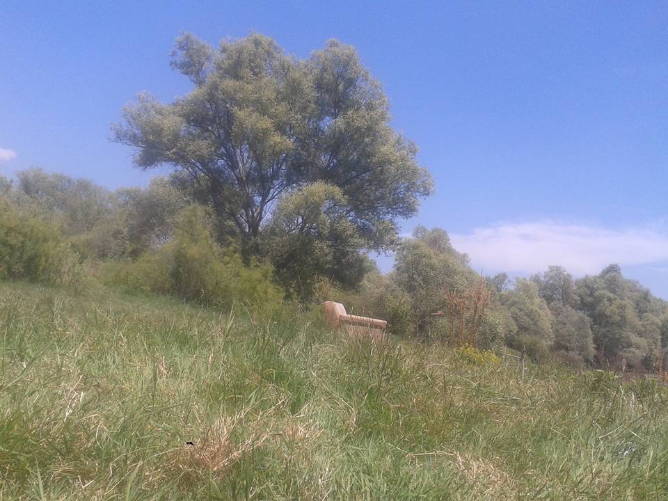 Pamukova Cihadiye Köyü Resimleri 2