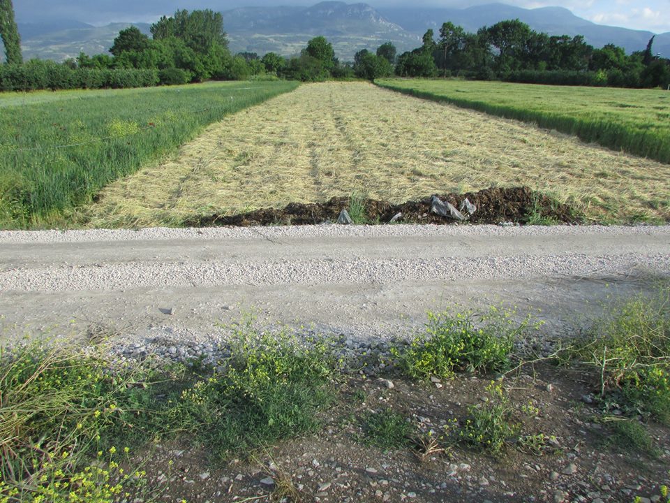 Pamukova Cihadiye Köyü Resimleri 4