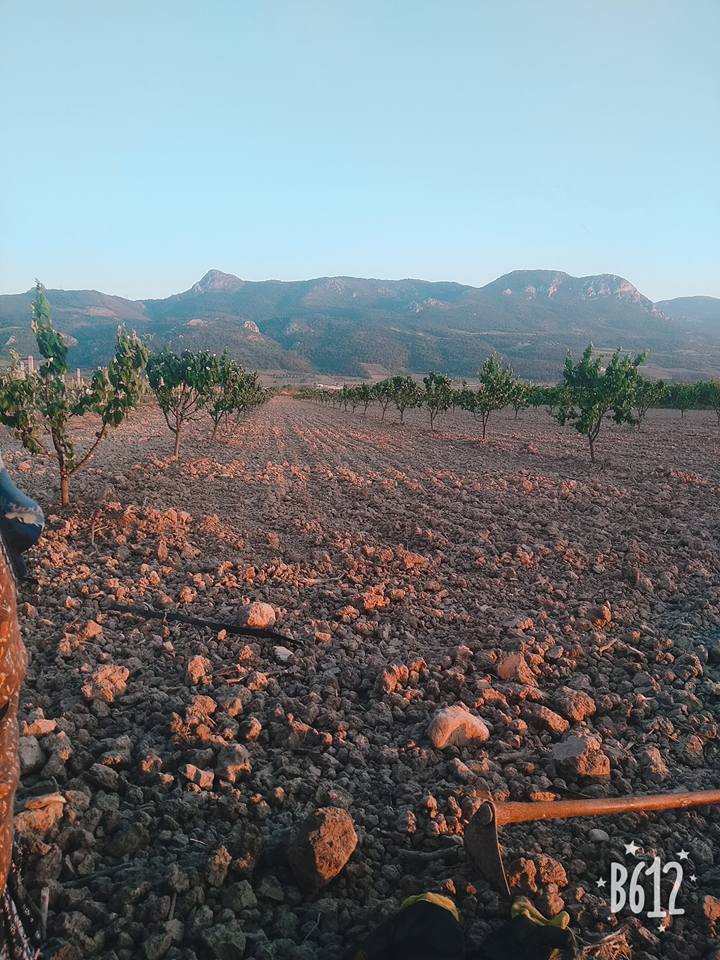 Pamukova Cihadiye Köyü Resimleri 7