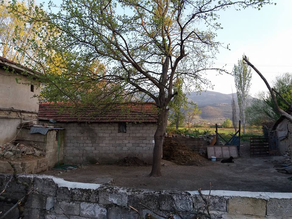 Pamukova Cihadiye Köyü Resimleri 9