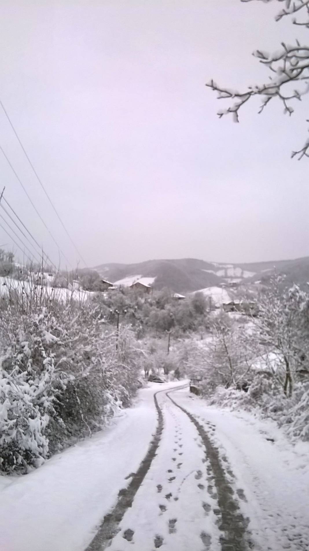 Bartın Akıncılar Köyü Resimleri 7