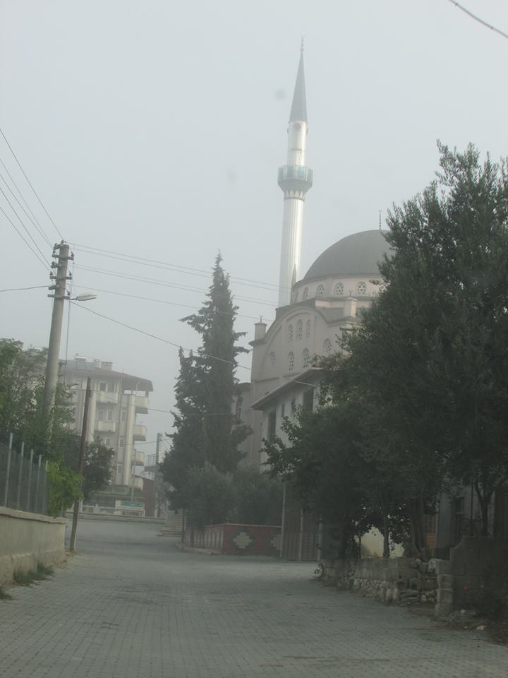 Pamukova Çardak Köyü Resimleri 2