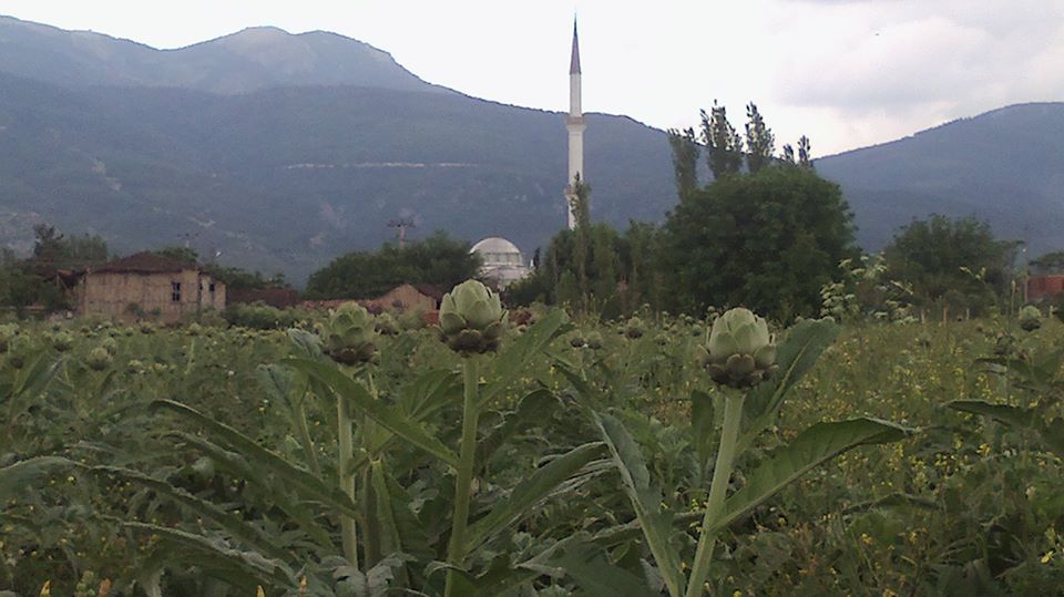 Pamukova Çardak Köyü Resimleri 6