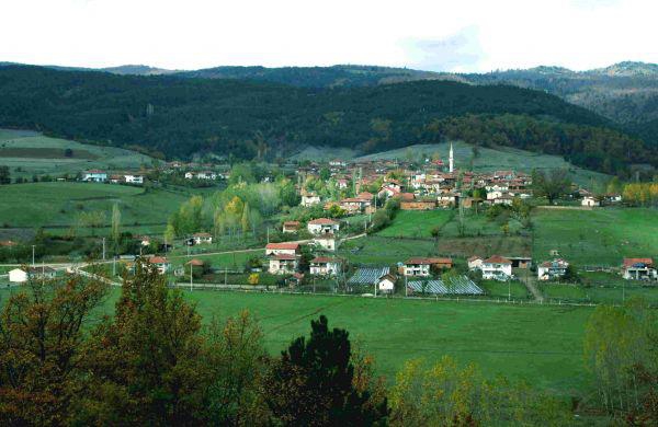 Pamukova Çilekli Köyü Resimleri 1