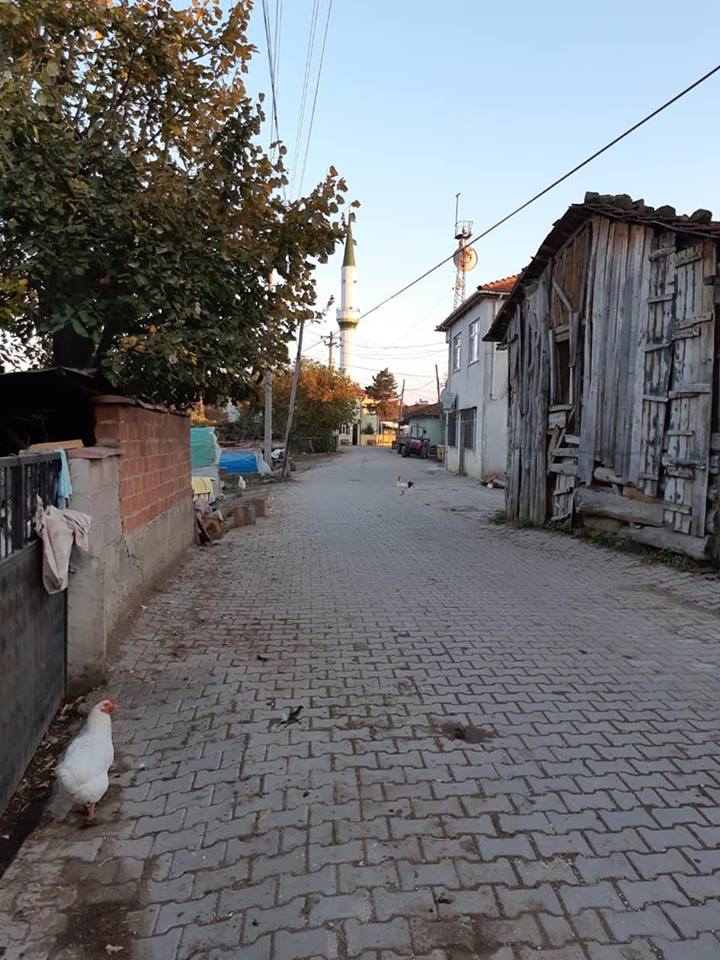 Pamukova Çilekli Köyü Resimleri 14