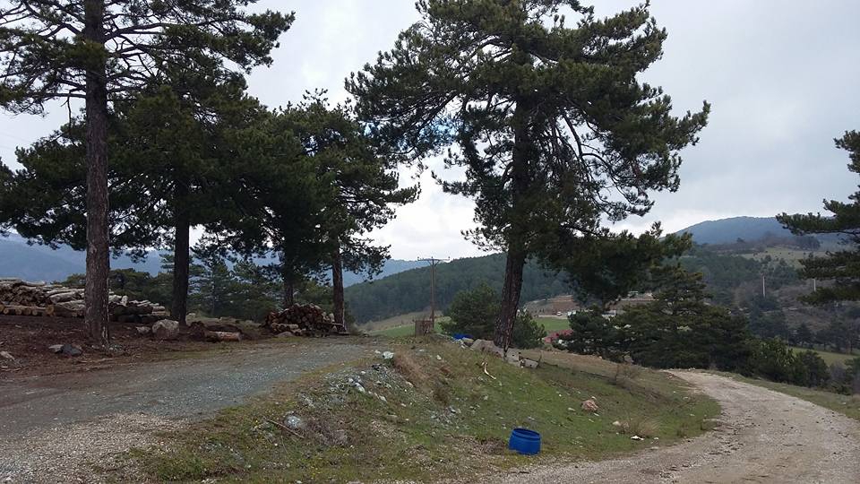 Pamukova Çilekli Köyü Resimleri 4