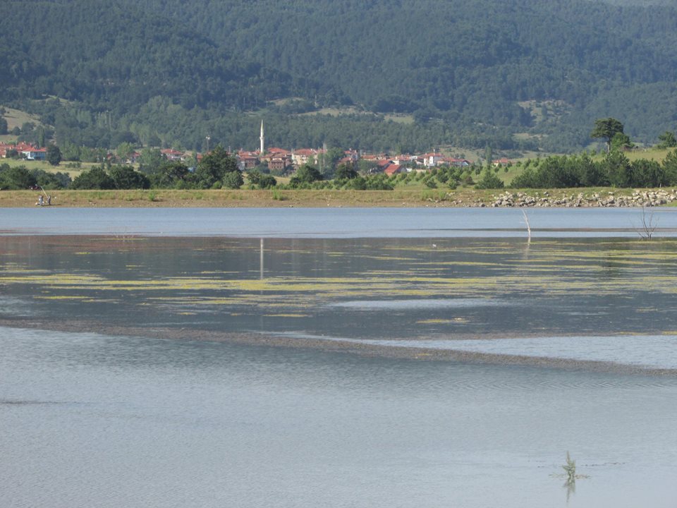 Pamukova Çilekli Köyü Resimleri 5