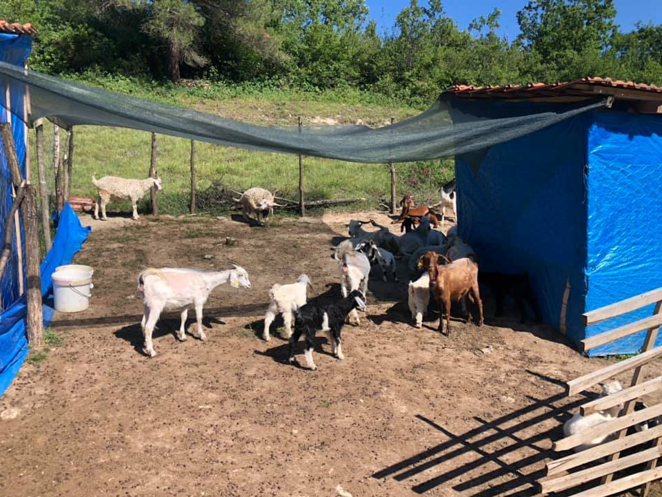 Bartın Dallıca Köyü Resimleri 1