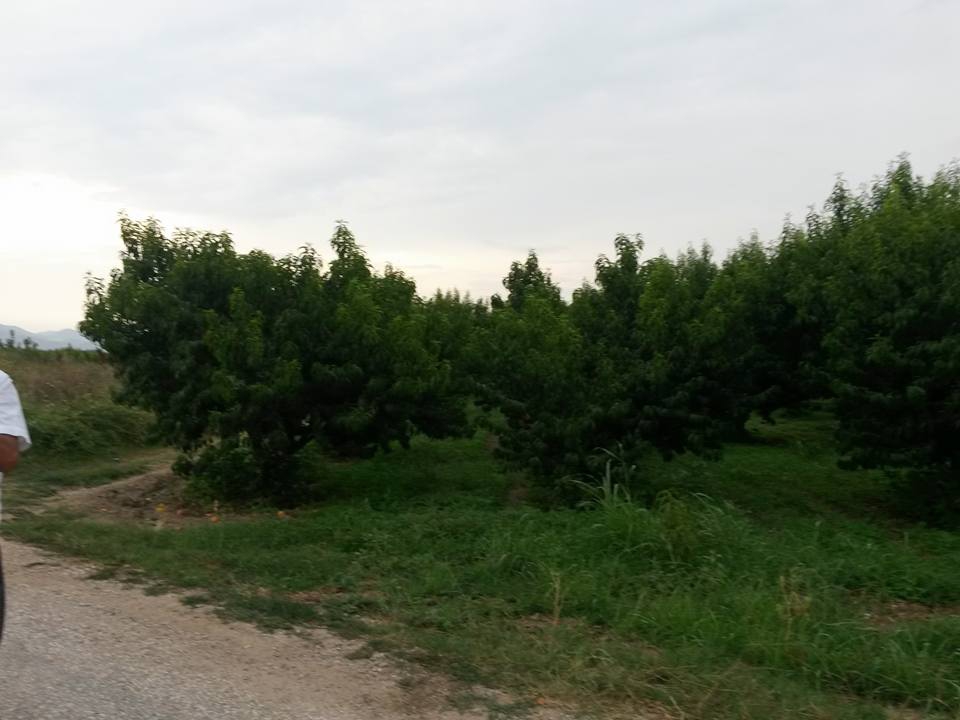 Pamukova Eğriçay Köyü Resimleri 1