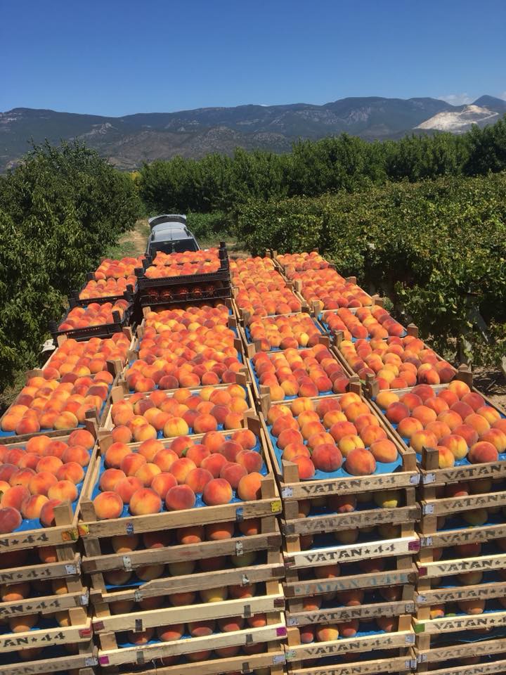 Pamukova Eğriçay Köyü Resimleri 3