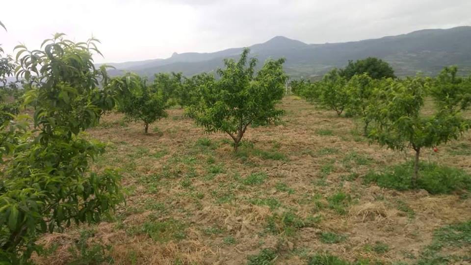 Pamukova Eğriçay Köyü Resimleri 4