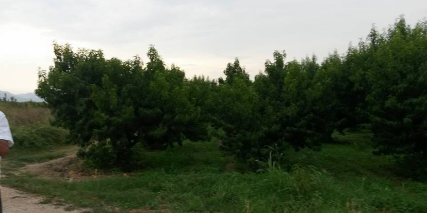 Pamukova Eğriçay Köyü Resimleri