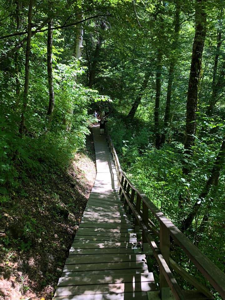 Erfelek Tatlıca Köyü Resimleri 10