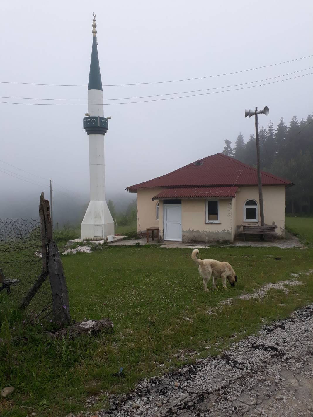 Erfelek Tatlıca Köyü Resimleri 2