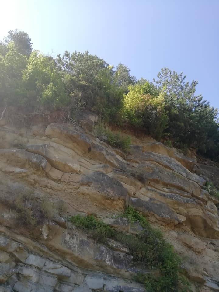 Erfelek Tatlıca Köyü Resimleri 4