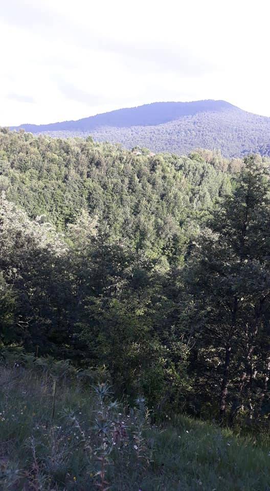 Erfelek Tatlıca Köyü Resimleri 6