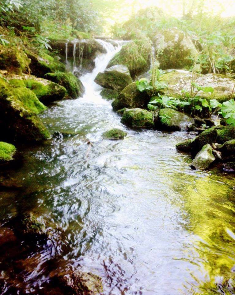 Pamukova Eskiyayla Köyü Resimleri 1