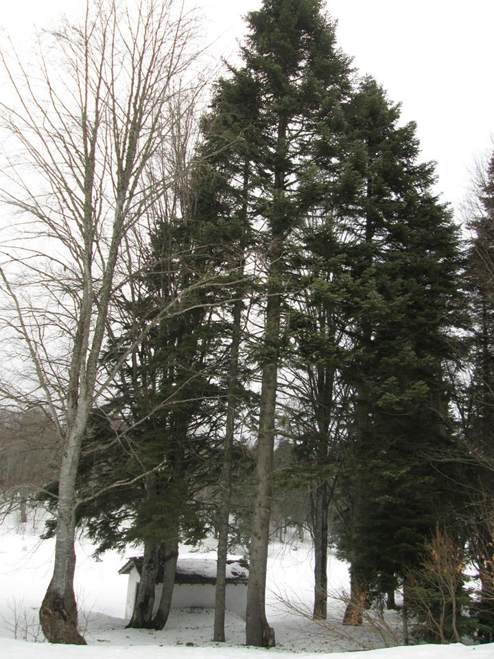 Pamukova Eskiyayla Köyü Resimleri 4