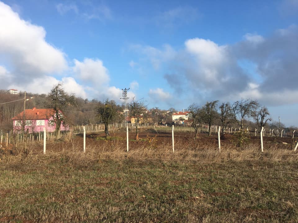 Pamukova Eskiyayla Köyü Resimleri 8