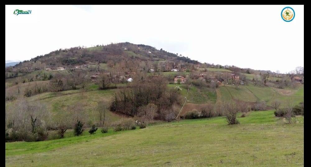 Gerze Akgüney Köyü Resimleri 11