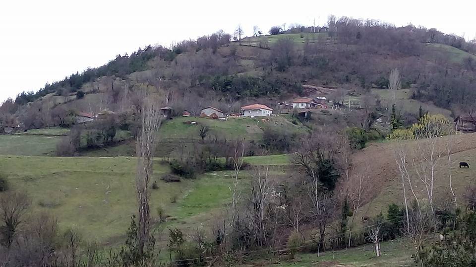 Gerze Akgüney Köyü Resimleri 13