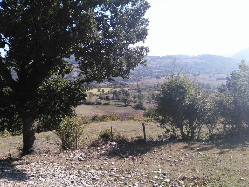 Gerze Akgüney Köyü Resimleri 2