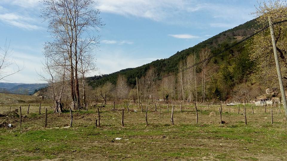 Gerze Akgüney Köyü Resimleri 4