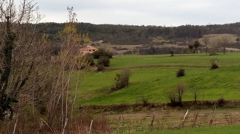 Gerze Akgüney Köyü Resimleri 5