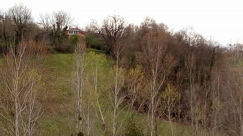 Gerze Akgüney Köyü Resimleri 6