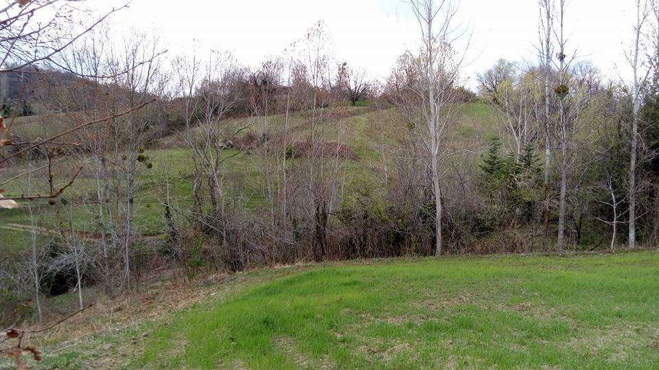 Gerze Akgüney Köyü Resimleri 7