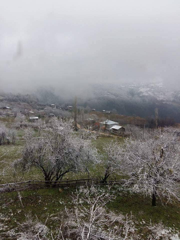 Gerze Altınyayla Köyü Resimleri 3